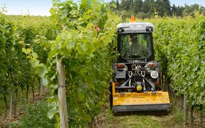 Mulchgerät Wein- und Obstbau