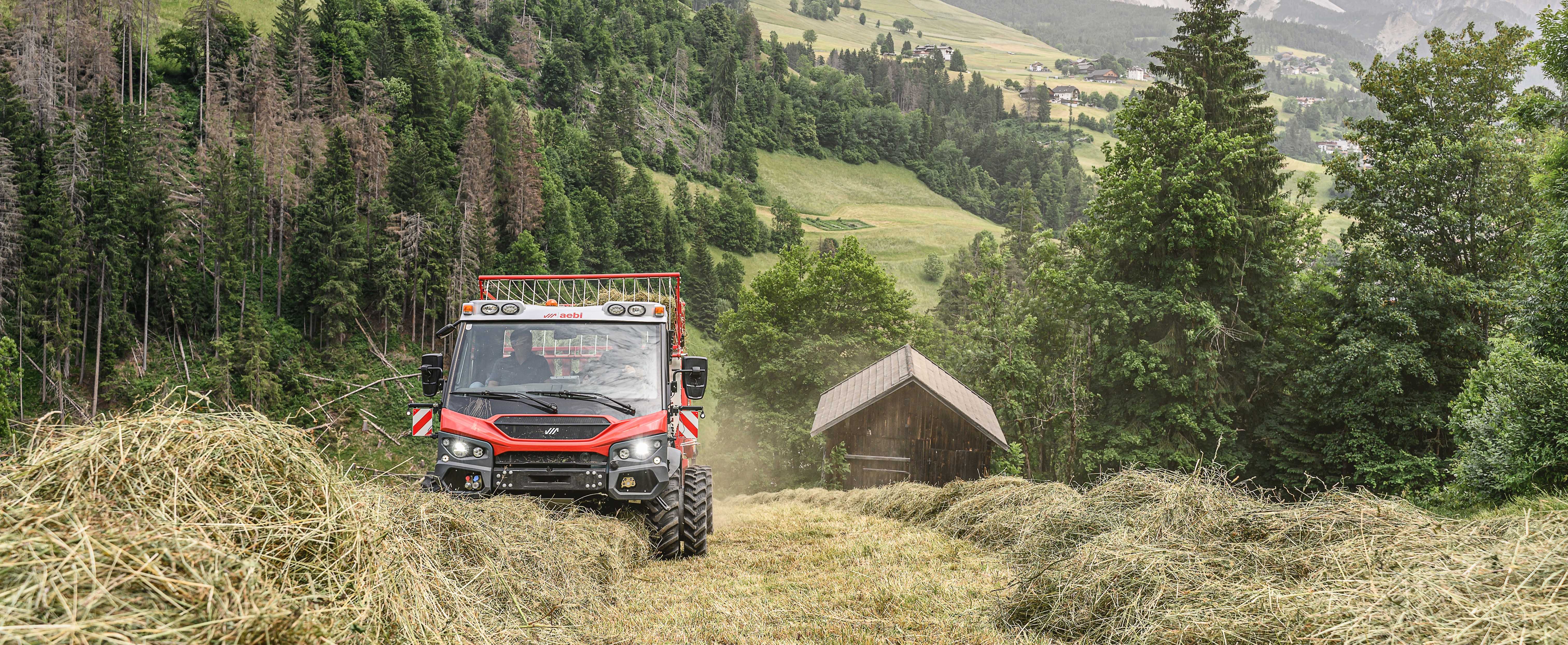 Aebi Schmidt Austria